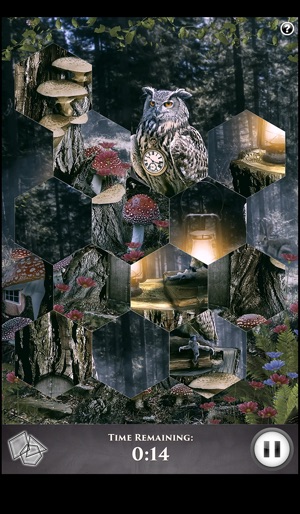 Hidden Scenes - Treehouse(圖5)-速報App