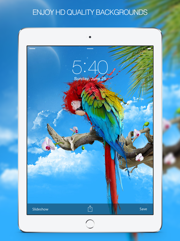 Screenshot #5 pour Color Splash Wallpapers & Splash Pictures HD