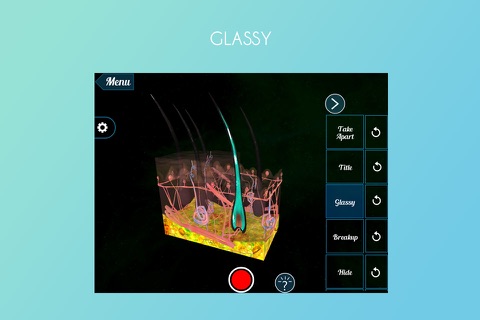 Skin Subcutaneous Layers 3D screenshot 4