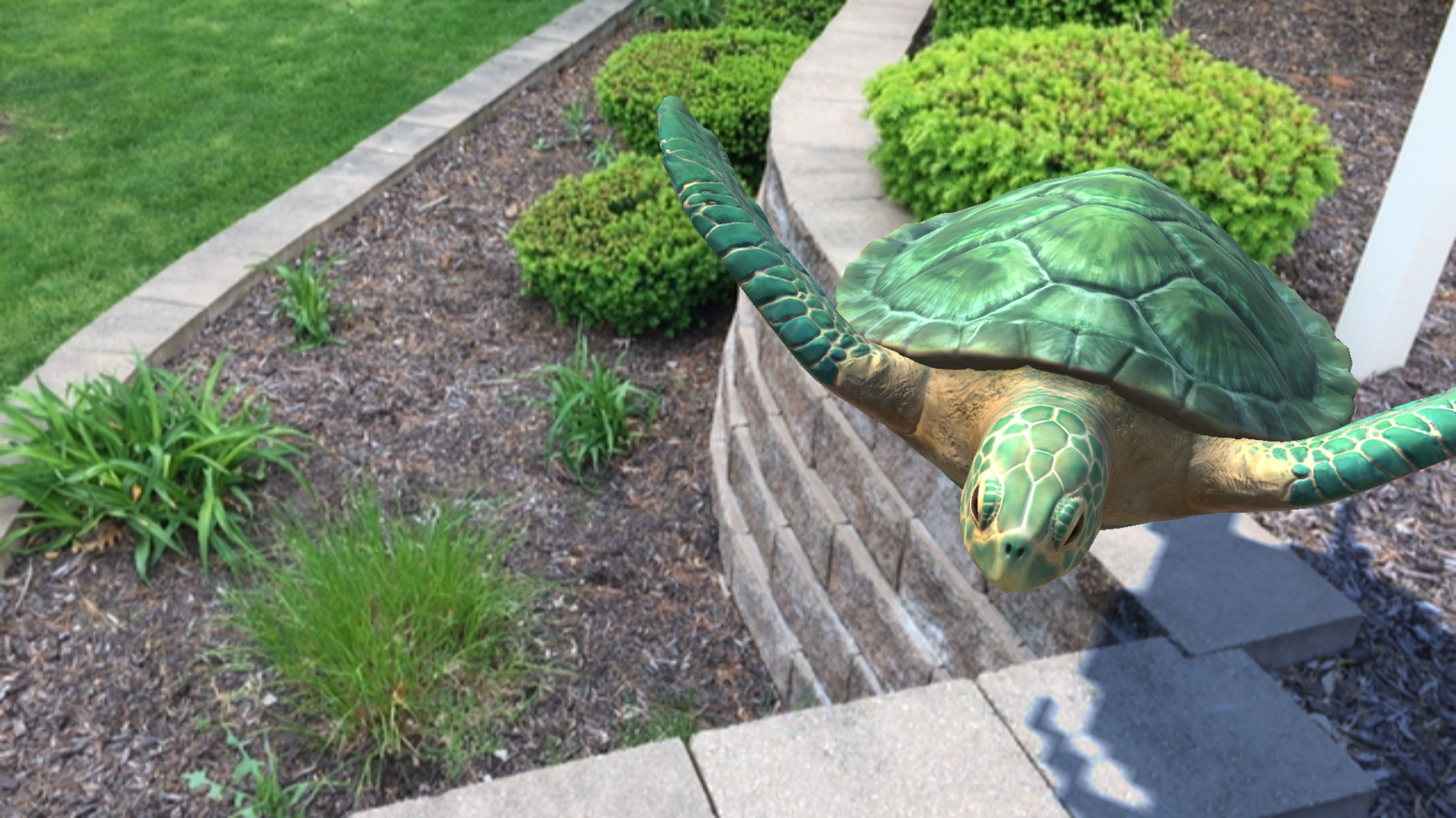 WikiTurtle screenshot 4