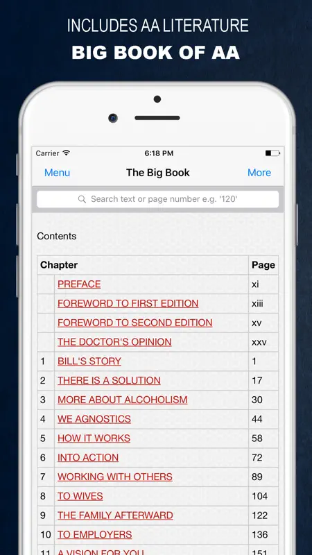 Sandy B - 12 Step Study - Saturday Morning Live screenshot 4 of 5