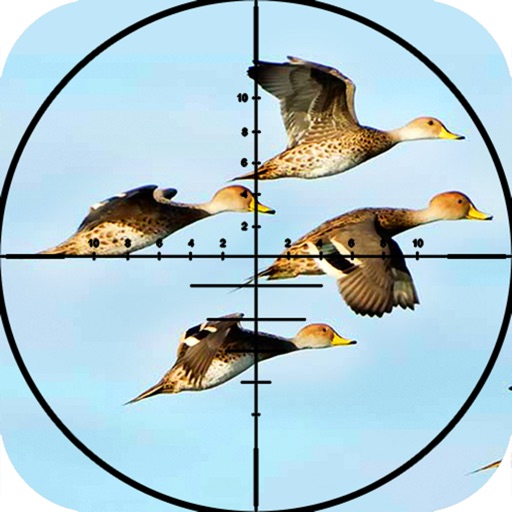 Jungle Hunting Adventure : A Real Birds Shooting iOS App