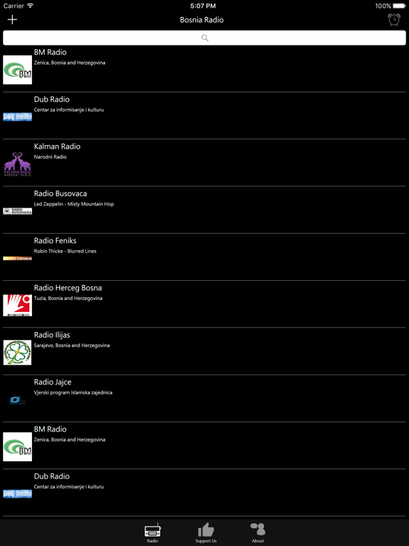 Bosnian Radio iPad screenshot 1 - Entertainment app