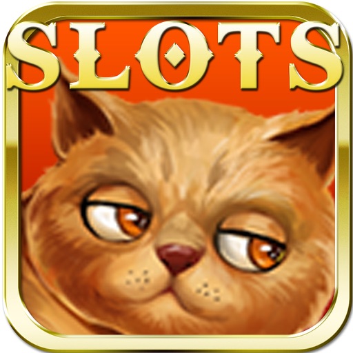 Cats Poker - Best Slot Experience & Big Win icon