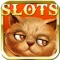 Cats Poker - Best Slot Experience & Big Win