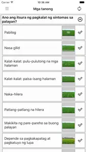 Rice Doctor Tagalog screenshot #2 for iPhone