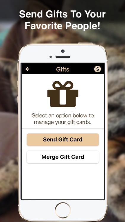 TOTCatCafe screenshot-3