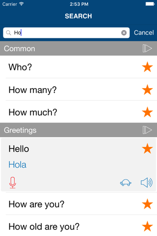 Learn Spanish Phrases Pro screenshot 4