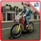 Newspaper Delivery Boy & bike ride game