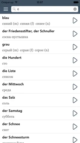 Game screenshot German | Russian Essentials apk