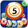 Seesaw Bingo - Unlimited Fun