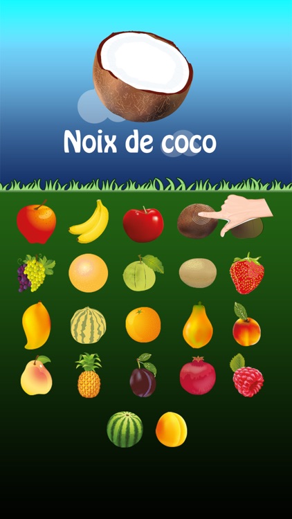 French Fruits Go for Kids