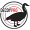 DecoyPro Goose Hunting Diagrams