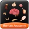 Human Anatomy Explorer app is a quick reference app that contains information about the ten different biological systems present in the human body in a visual and engaging manner