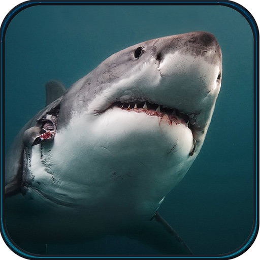 2016 Hungry Spear Shark Hunting - Underwater Deep Sea Shooting Hunting Game icon