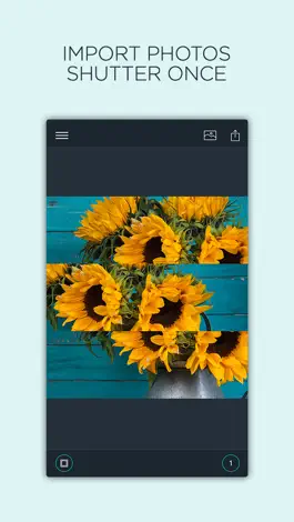 Game screenshot Shutterly - Slice and dice your photos mod apk