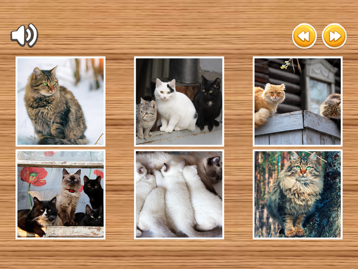 Cat Jigsaw Puzzles HD - Easy Jigsaw Puzzles Games for Kids Free