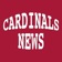 Cardinals News - An App for Arizona Cardinals Fans app icon - Sports app for iPhone