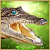 Crocodile Simulator 2017 3D delete, cancel