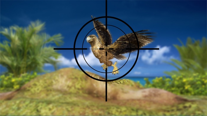Bird Hunting - Eagle  Duck Sniper Shooting