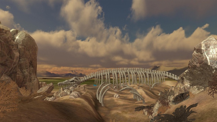 VR Fantasy World Cardboard