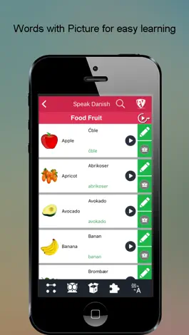 Game screenshot Learn Danish SMART Guide apk