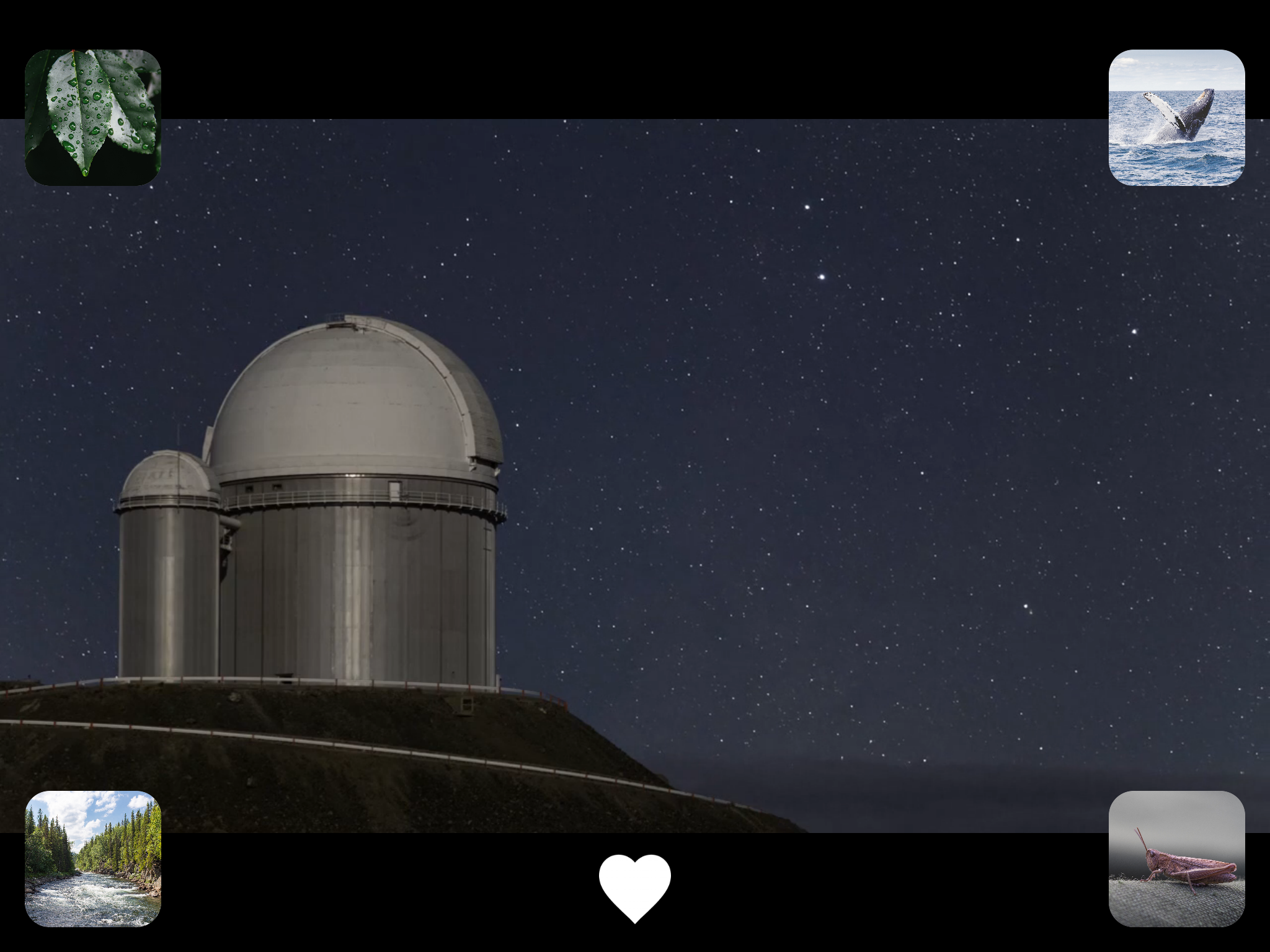 Nature Sounds Mix - Relax - Meditate - Sleep screenshot 6