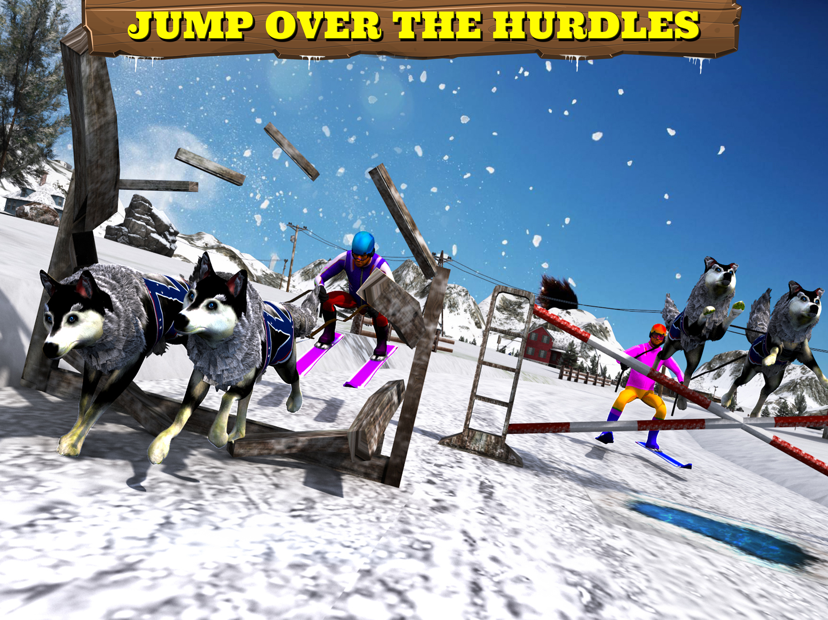 Sled Dog Racing 2017