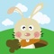 Rabbit Launcher – a game about cute hungry rabbits