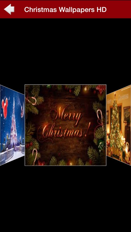 Merry Christmas Greetings