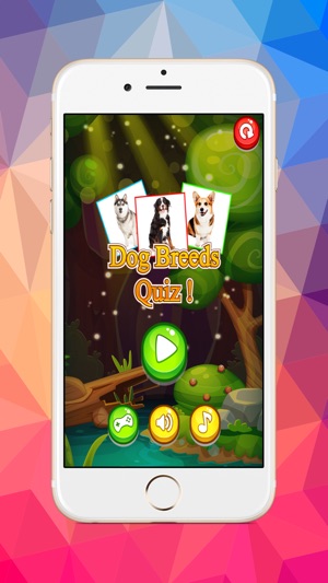 狗品种图像问答游戏(圖1)-速報App