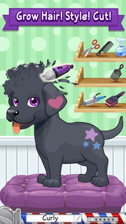 Sunnyville Pet Salon – Animal Spa & Hair Salon