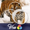 Venn Tigers: Overlapping Jigsaw Puzzles