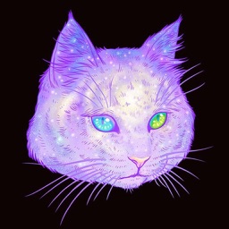 宜昌美容美发网