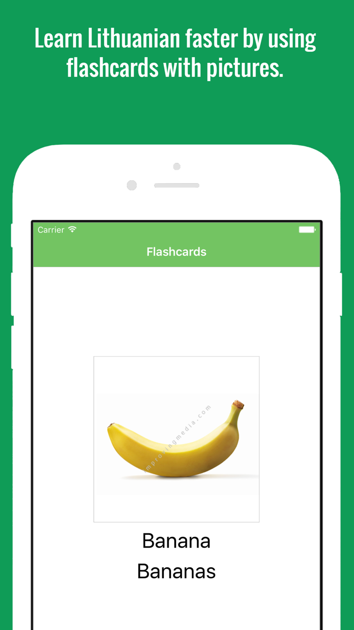 Lithuanian Flashcards with Pictures Lite
