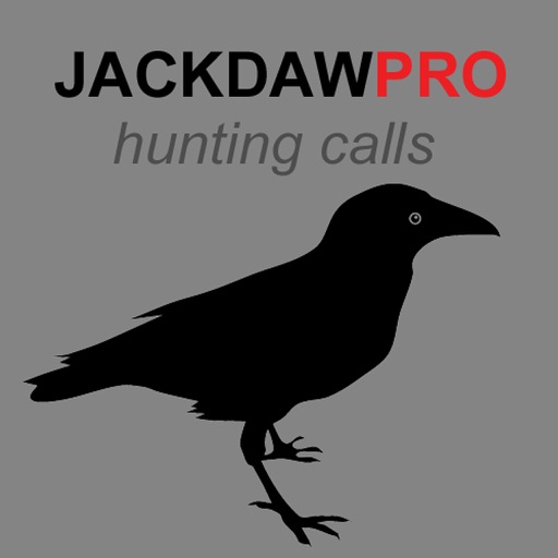 Jackdaw Calls for Hunting - HD icon