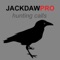 Jackdaw calls with jackdaw sounds perfect for jackdaw hunting