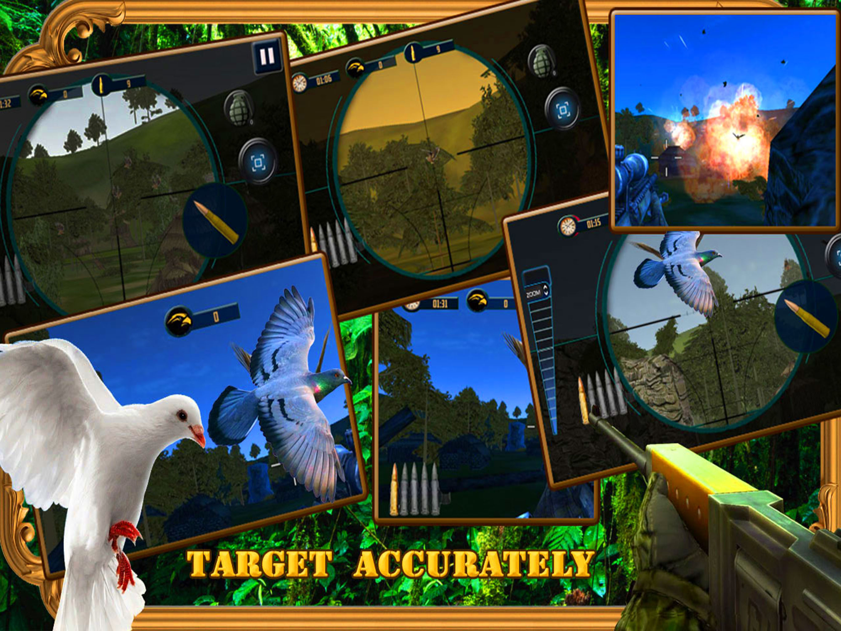 Jungle bird hunter 3d - free shooting game