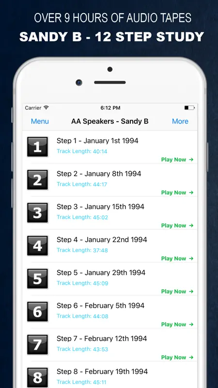 Sandy B - 12 Step Study - Saturday Morning Live screenshot 3 of 5