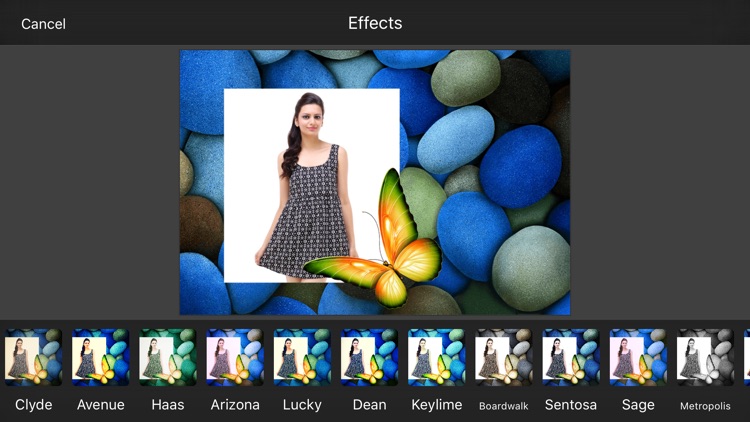 Butterfly Photo Frames & Photo Editor