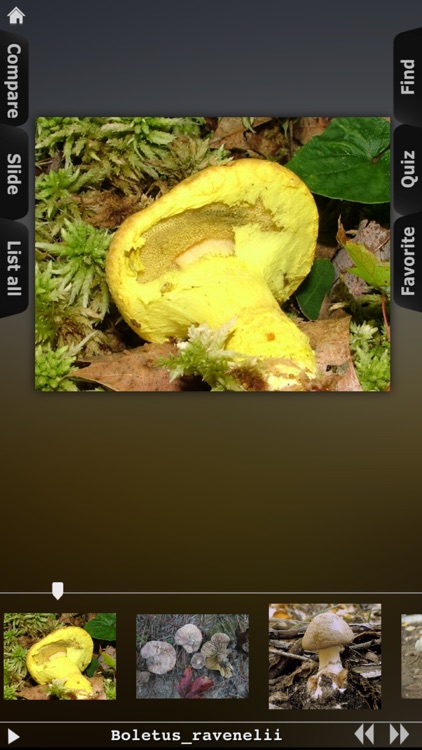 Mushrooms Encyclopedia screenshot-3