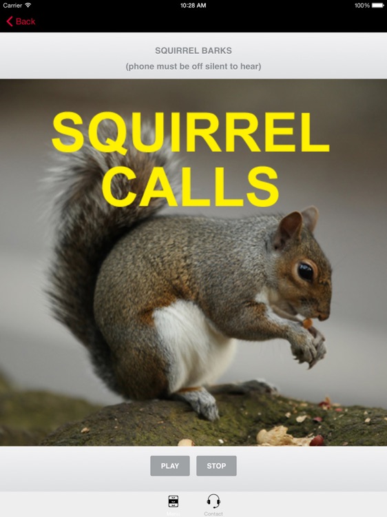 Squirrel Hunting Calls HD