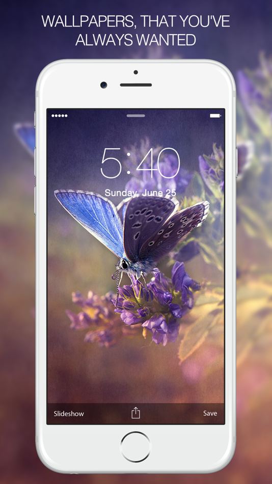 Butterfly Pictures & Butterfly Wallpapers Free - 9.4 - (iOS)