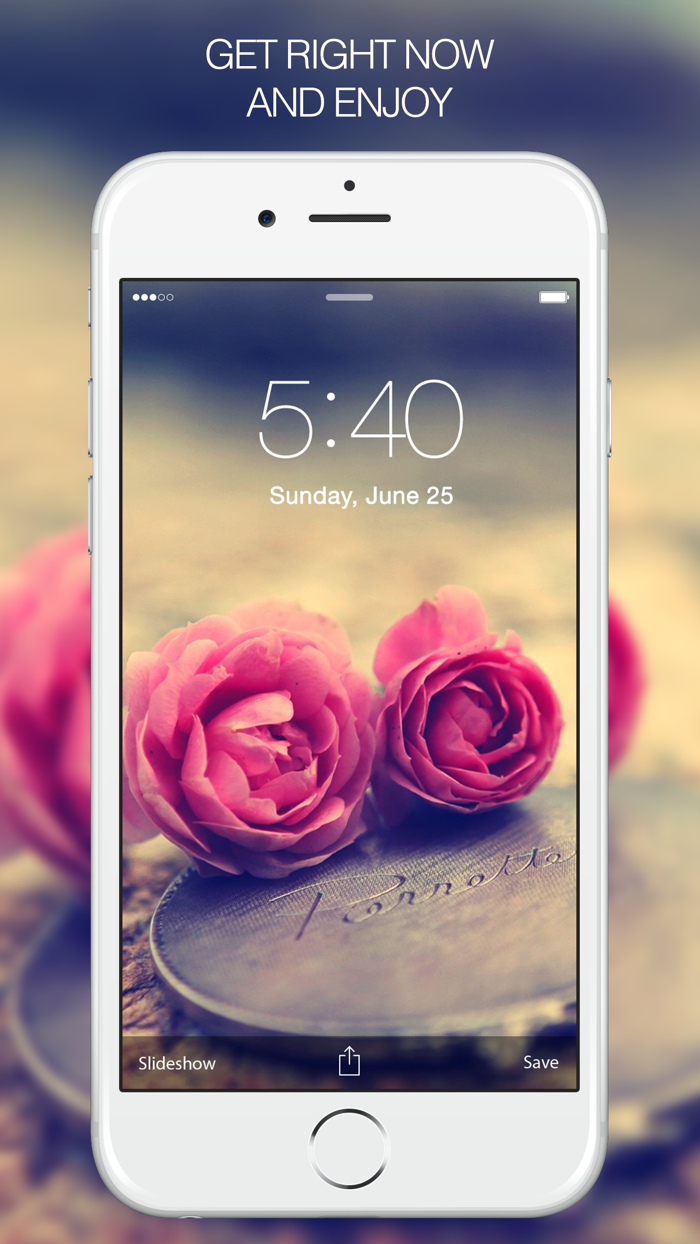 Rose Wallpapers and Backgrounds – Pictures of Roses