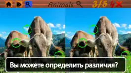 Game screenshot Пятно Различия Животные hack
