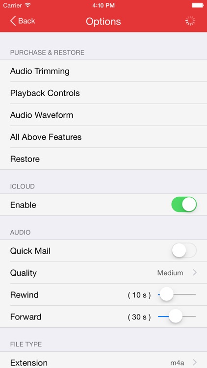 Recorder Pro: Professional Voice Recorder screenshot-4