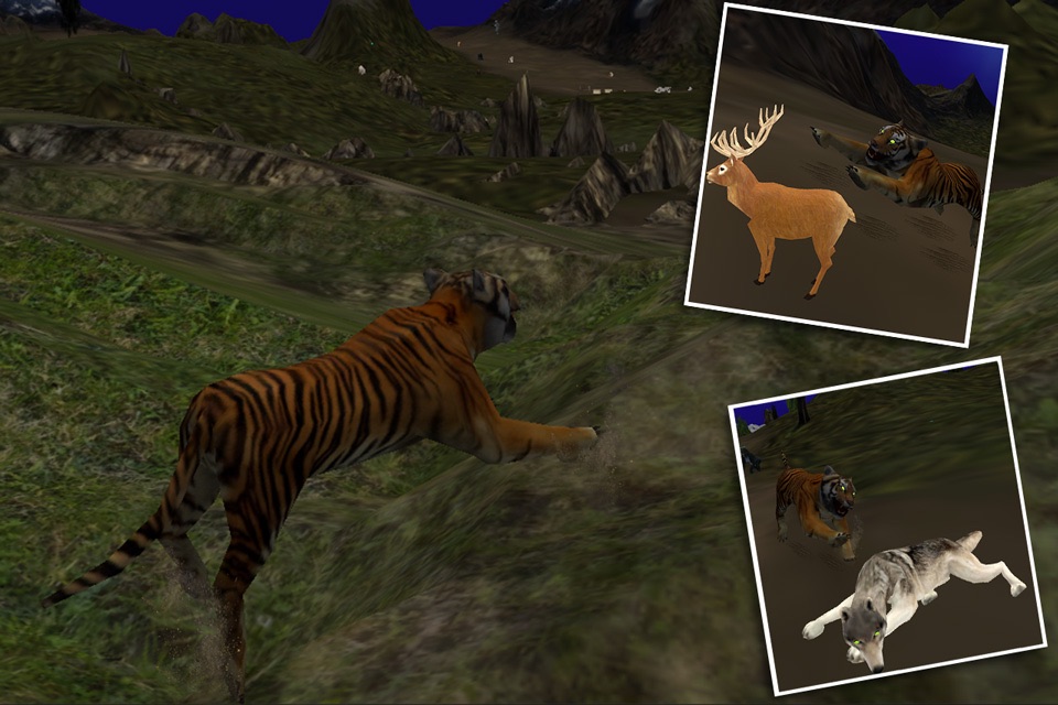 Hungry Wild Tiger 3D Simulator Game screenshot 3