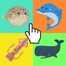 Activities of Puzzle Fish
