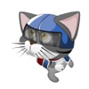 Top Crazy Awesome Cat Battle Fight Amazing Free Game