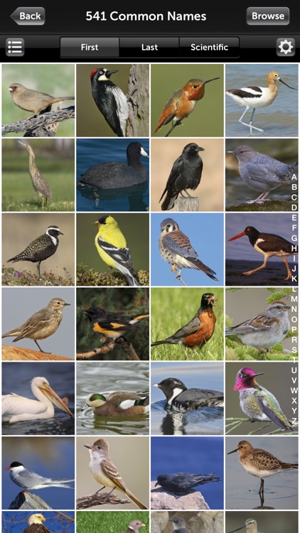 Audubon Birds of California